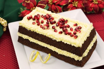 Gingerbread-Cake-058E_750xfeat