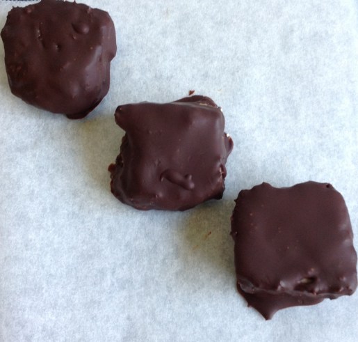 choc coconut squares 3